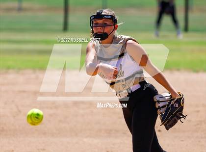 Thumbnail 2 in Kingfisher @ (JV) Woodward photogallery.