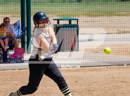 Thumbnail 2 in Kingfisher @ (JV) Woodward photogallery.