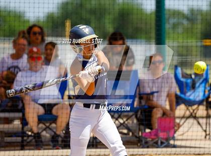 Thumbnail 2 in Kingfisher @ (JV) Woodward photogallery.
