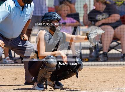 Thumbnail 3 in Kingfisher @ (JV) Woodward photogallery.