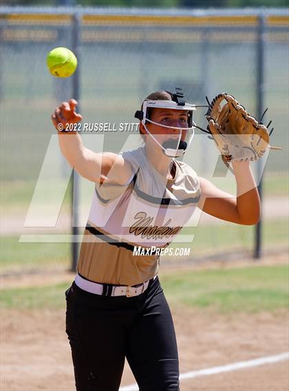Thumbnail 2 in Kingfisher @ (JV) Woodward photogallery.
