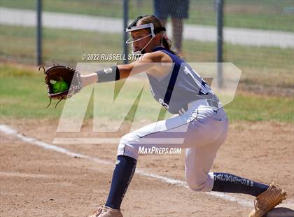 Thumbnail 3 in Kingfisher @ (JV) Woodward photogallery.