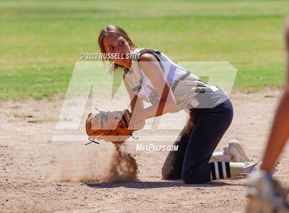 Thumbnail 1 in Kingfisher @ (JV) Woodward photogallery.