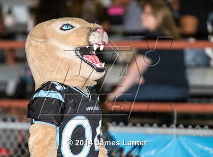 Thumbnail 2 in Mansfield Legacy @ Seguin photogallery.