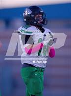 Photo from the gallery "Virgin Valley @ Western"
