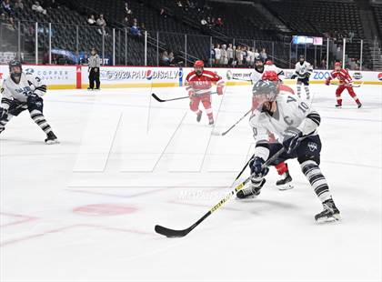 Thumbnail 2 in Valor Christian vs. Regis Jesuit (CHSAA Frozen Four) photogallery.