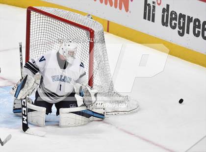 Thumbnail 2 in Valor Christian vs. Regis Jesuit (CHSAA Frozen Four) photogallery.