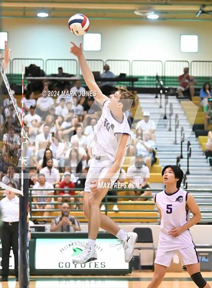 Thumbnail 1 in Northwest Christian vs. Arizona College Prep (AIA 4A Final) photogallery.