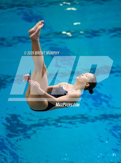 Thumbnail 1 in CHSAA 5A Dive Finals photogallery.