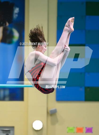 Thumbnail 2 in CHSAA 5A Dive Finals photogallery.