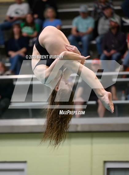 Thumbnail 2 in CHSAA 5A Dive Finals photogallery.