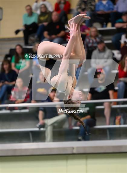 Thumbnail 2 in CHSAA 5A Dive Finals photogallery.