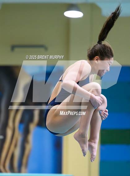 Thumbnail 1 in CHSAA 5A Dive Finals photogallery.