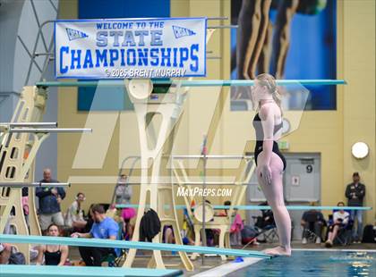 Thumbnail 2 in CHSAA 5A Dive Finals photogallery.