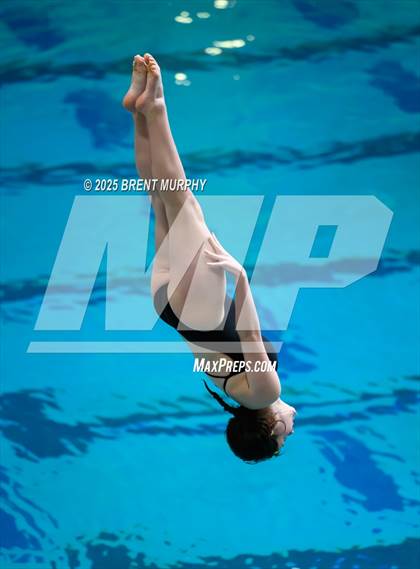 Thumbnail 1 in CHSAA 5A Dive Finals photogallery.