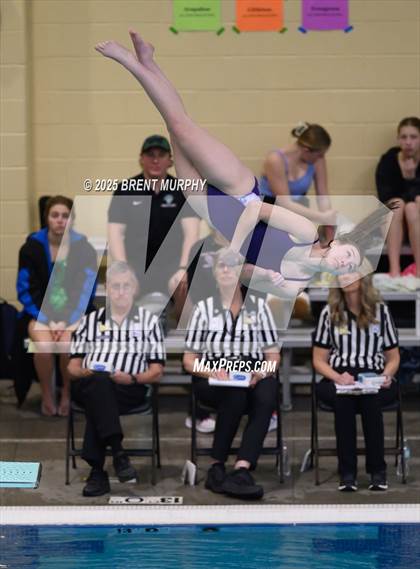 Thumbnail 1 in CHSAA 5A Dive Finals photogallery.