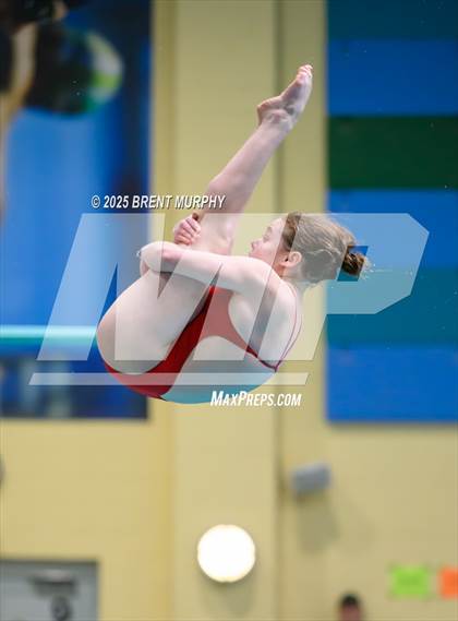 Thumbnail 1 in CHSAA 5A Dive Finals photogallery.
