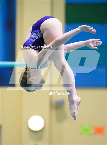 Thumbnail 1 in CHSAA 5A Dive Finals photogallery.