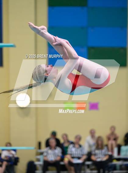 Thumbnail 2 in CHSAA 5A Dive Finals photogallery.