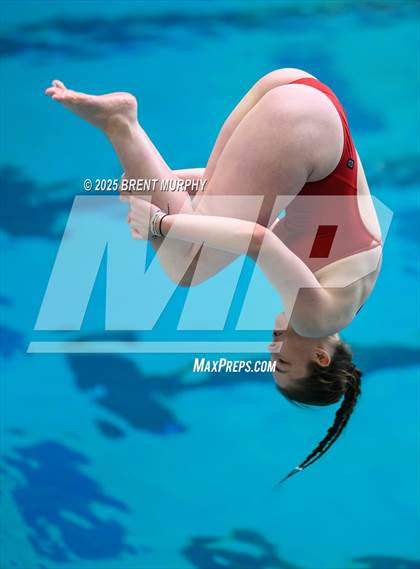 Thumbnail 1 in CHSAA 5A Dive Finals photogallery.