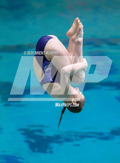 Thumbnail 2 in CHSAA 5A Dive Finals photogallery.