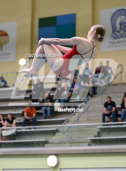 Thumbnail 3 in CHSAA 5A Dive Finals photogallery.
