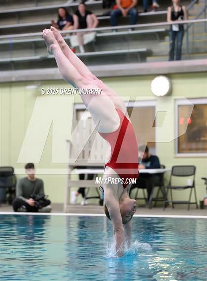 Thumbnail 2 in CHSAA 5A Dive Finals photogallery.