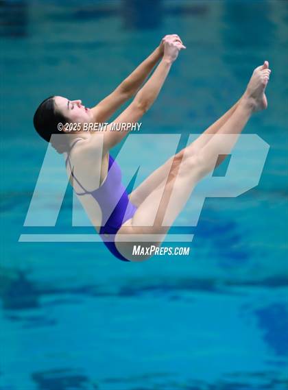 Thumbnail 1 in CHSAA 5A Dive Finals photogallery.