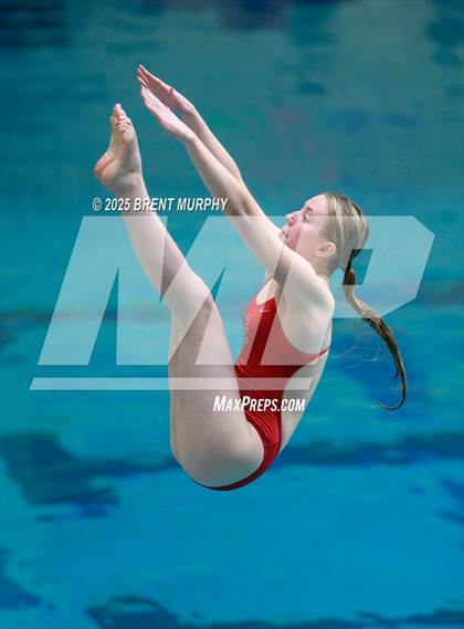 Thumbnail 3 in CHSAA 5A Dive Finals photogallery.