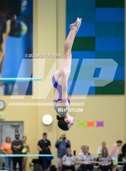 Thumbnail 3 in CHSAA 5A Dive Finals photogallery.