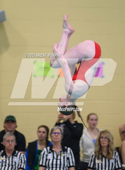 Thumbnail 2 in CHSAA 5A Dive Finals photogallery.