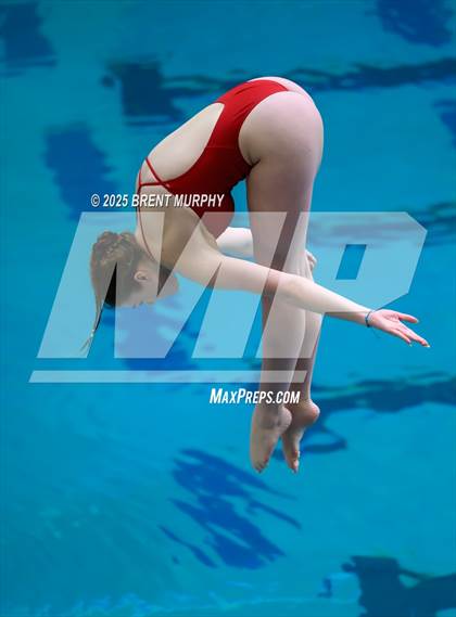 Thumbnail 3 in CHSAA 5A Dive Finals photogallery.