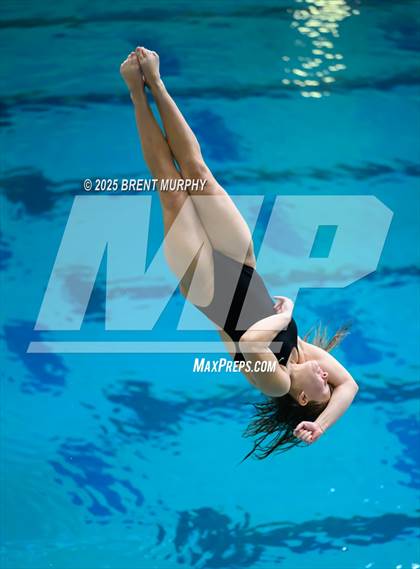 Thumbnail 3 in CHSAA 5A Dive Finals photogallery.