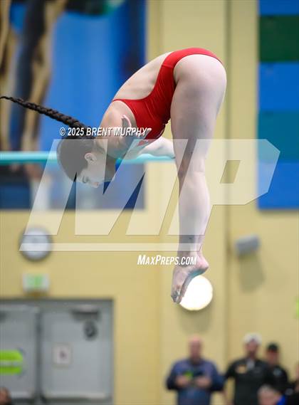 Thumbnail 3 in CHSAA 5A Dive Finals photogallery.