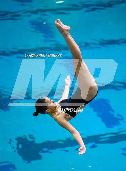 Thumbnail 3 in CHSAA 5A Dive Finals photogallery.