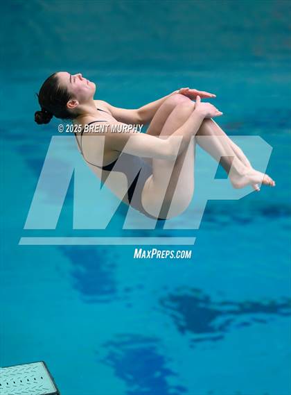 Thumbnail 3 in CHSAA 5A Dive Finals photogallery.