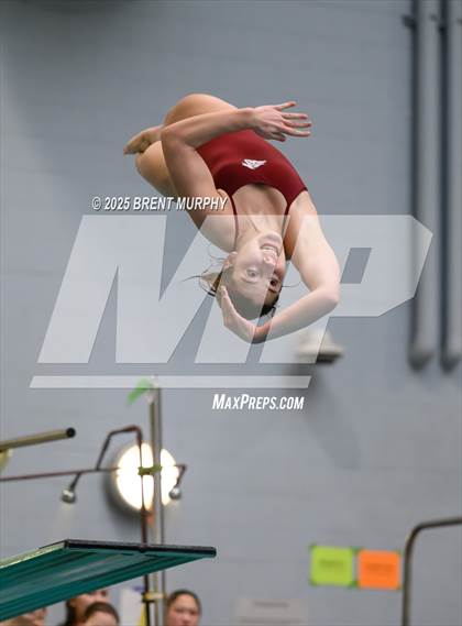 Thumbnail 1 in CHSAA 5A Dive Finals photogallery.