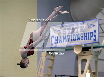 Thumbnail 3 in CHSAA 5A Dive Finals photogallery.