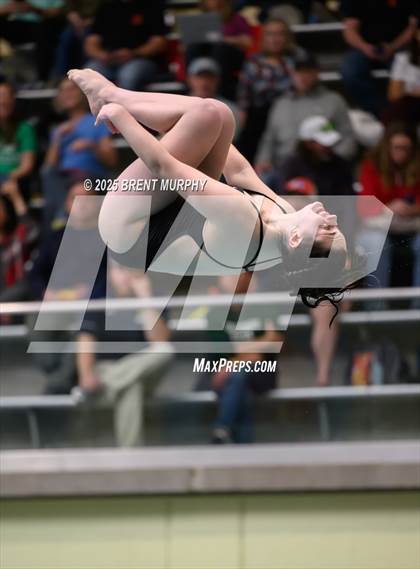 Thumbnail 2 in CHSAA 5A Dive Finals photogallery.