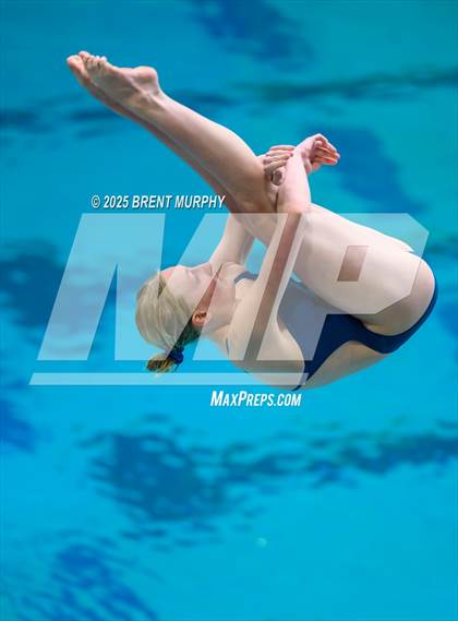Thumbnail 1 in CHSAA 5A Dive Finals photogallery.