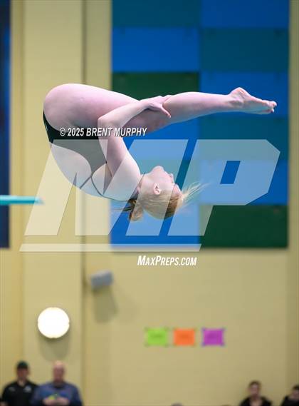 Thumbnail 1 in CHSAA 5A Dive Finals photogallery.