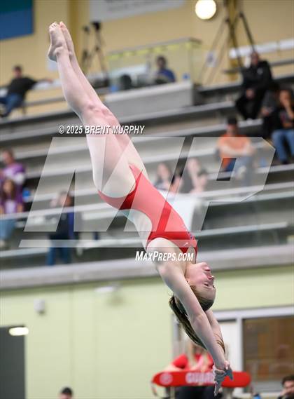 Thumbnail 3 in CHSAA 5A Dive Finals photogallery.