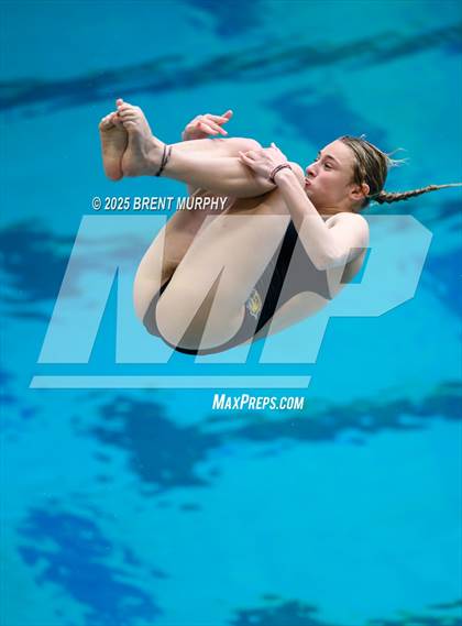 Thumbnail 3 in CHSAA 5A Dive Finals photogallery.