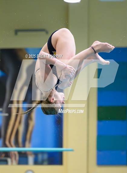 Thumbnail 1 in CHSAA 5A Dive Finals photogallery.