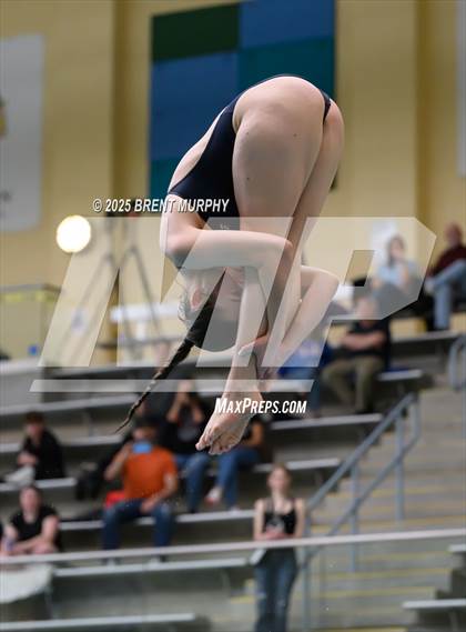 Thumbnail 1 in CHSAA 5A Dive Finals photogallery.