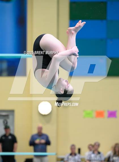 Thumbnail 3 in CHSAA 5A Dive Finals photogallery.