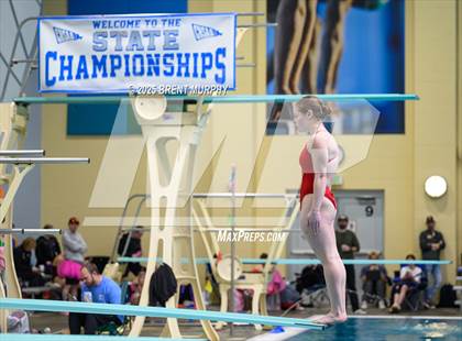 Thumbnail 3 in CHSAA 5A Dive Finals photogallery.