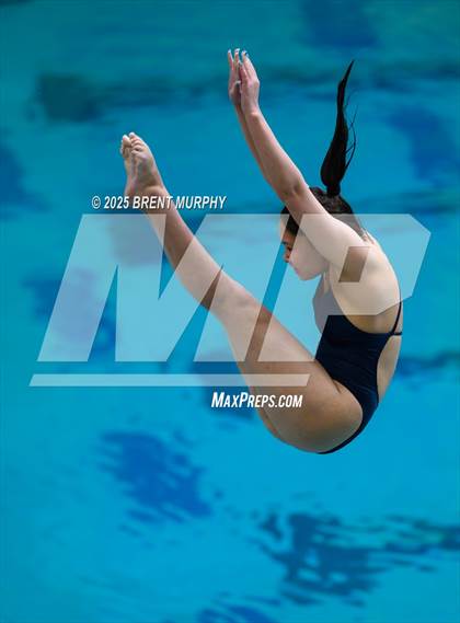Thumbnail 1 in CHSAA 5A Dive Finals photogallery.