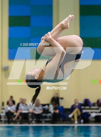 Thumbnail 1 in CHSAA 5A Dive Finals photogallery.