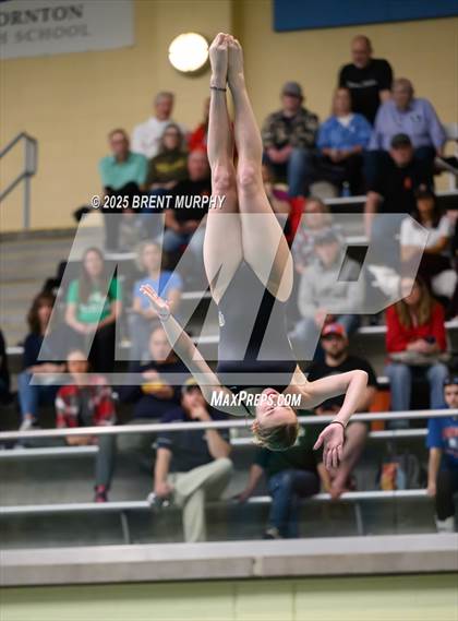 Thumbnail 3 in CHSAA 5A Dive Finals photogallery.